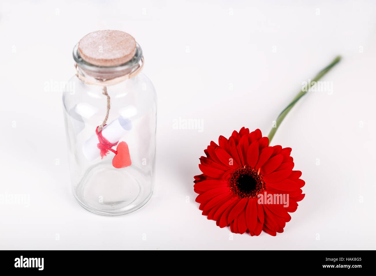 Amore un messaggio in bottiglia. Rotolo di carta bianca con filo rosso e rosso gerbera fiore su uno sfondo bianco. San Valentino concetto Foto Stock