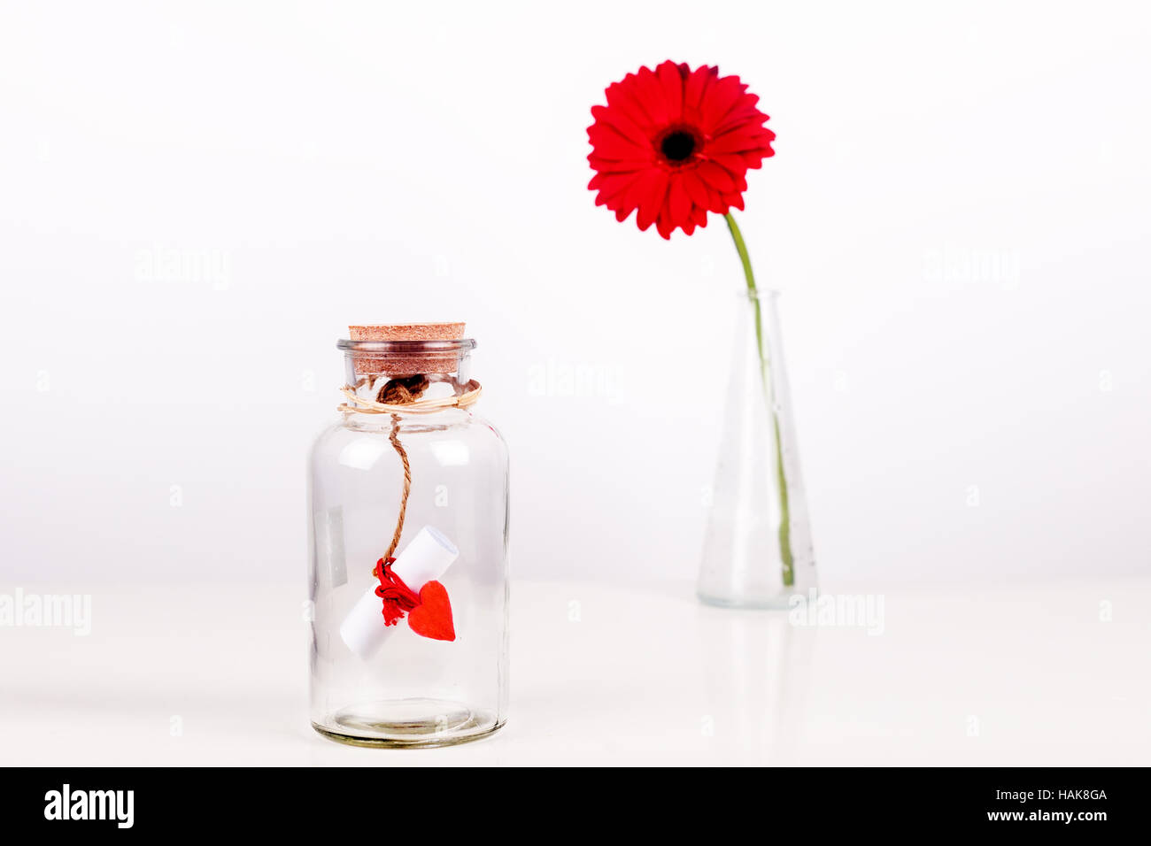 Amore un messaggio in bottiglia. Rotolo di carta bianca con filo rosso e rosso gerbera fiore su uno sfondo bianco. San Valentino concetto Foto Stock