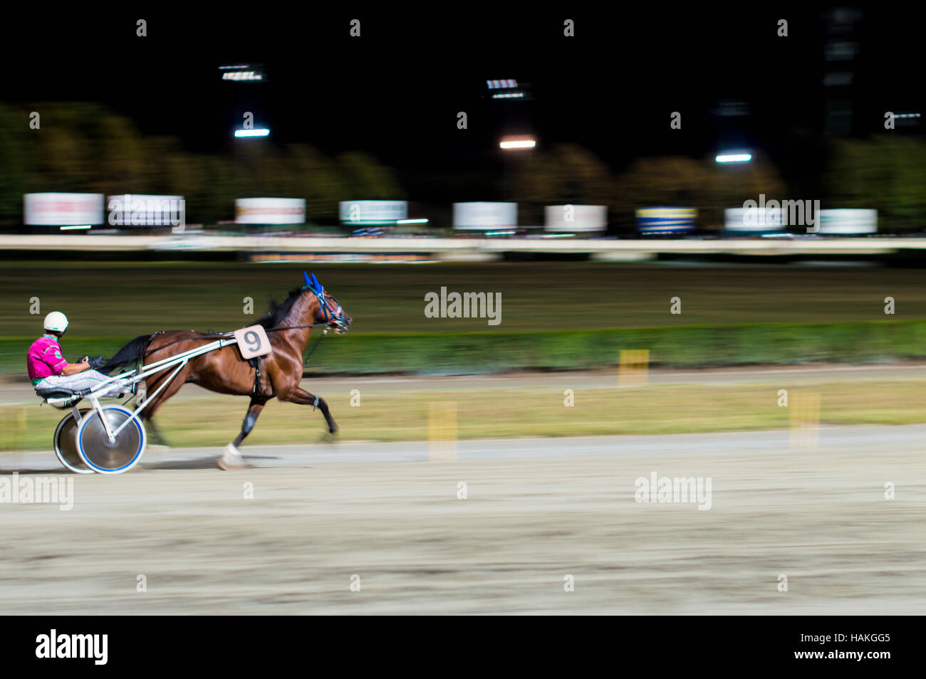 Effetto di panning - foto sfocata notte cavallo di razza in background Foto Stock
