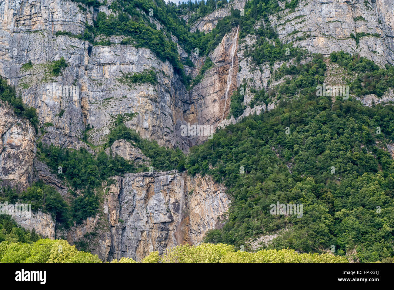 Alberi che crescono nei vuoti di una rupe su una montagna Foto Stock
