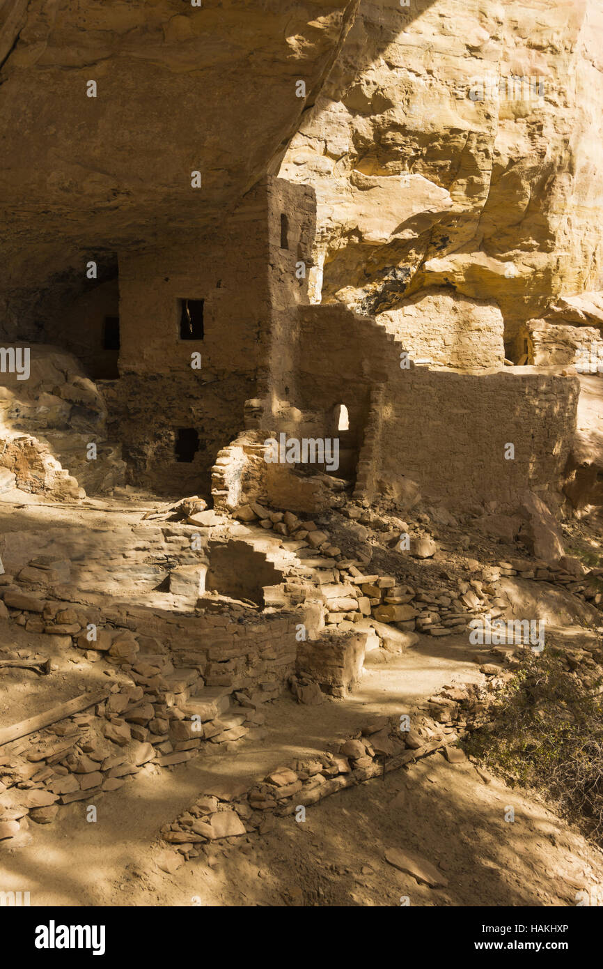 Colorado, Ute Mountain Tribal Park, Tree House rovina Foto Stock
