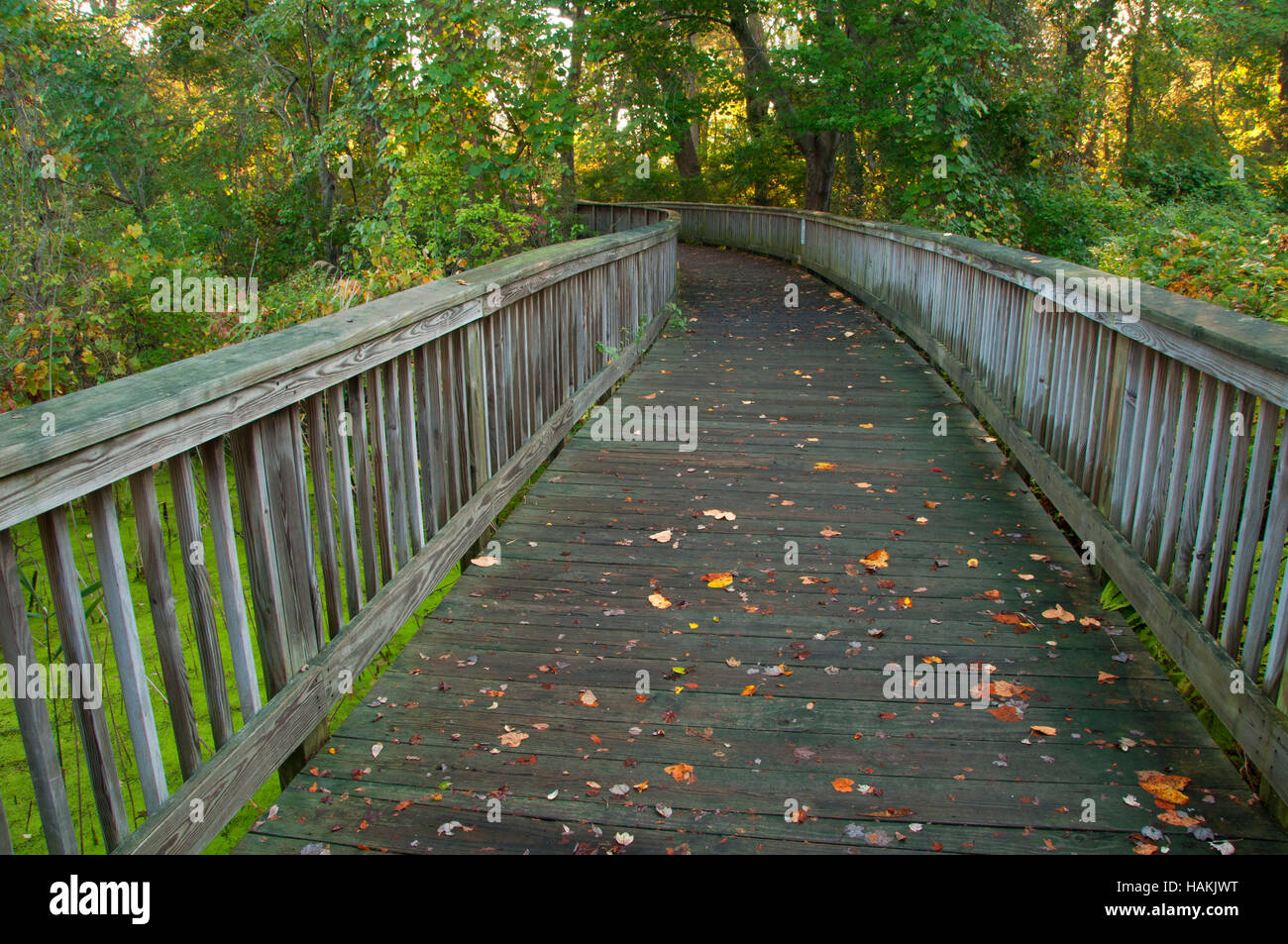 Il Boardwalk, Claire D. McIntosh Wildlife Refuge, East Bay pista ciclabile del parco statale, Rhode Island Foto Stock