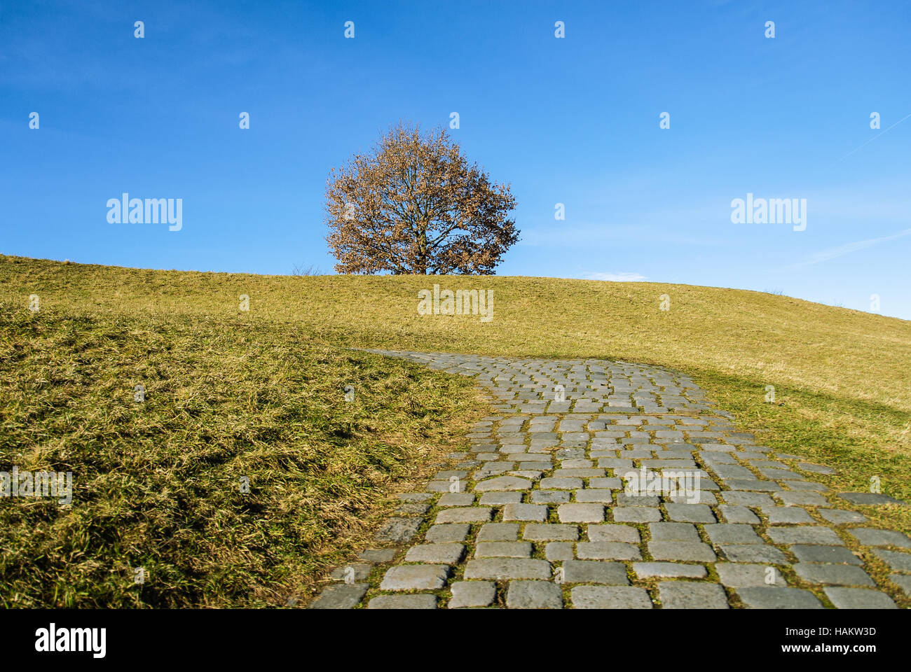 Strada curva si allontana dal gol alla cima della montagna Foto Stock