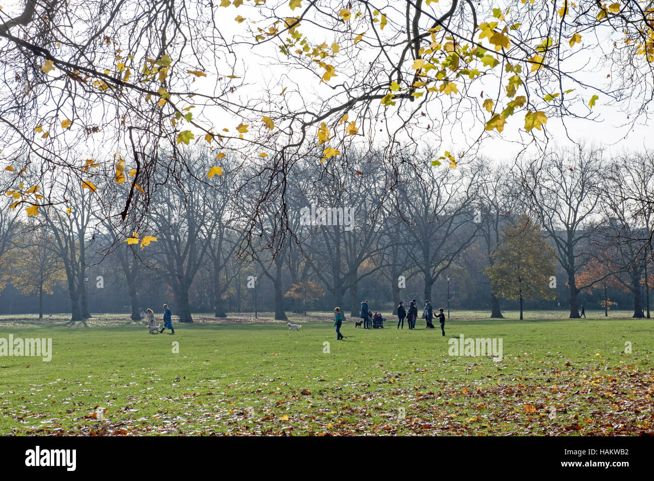 Persone su Highbury Feilds Highbury campi in autunno, London Borough di Islington, England, Regno Unito Regno Unito Foto Stock