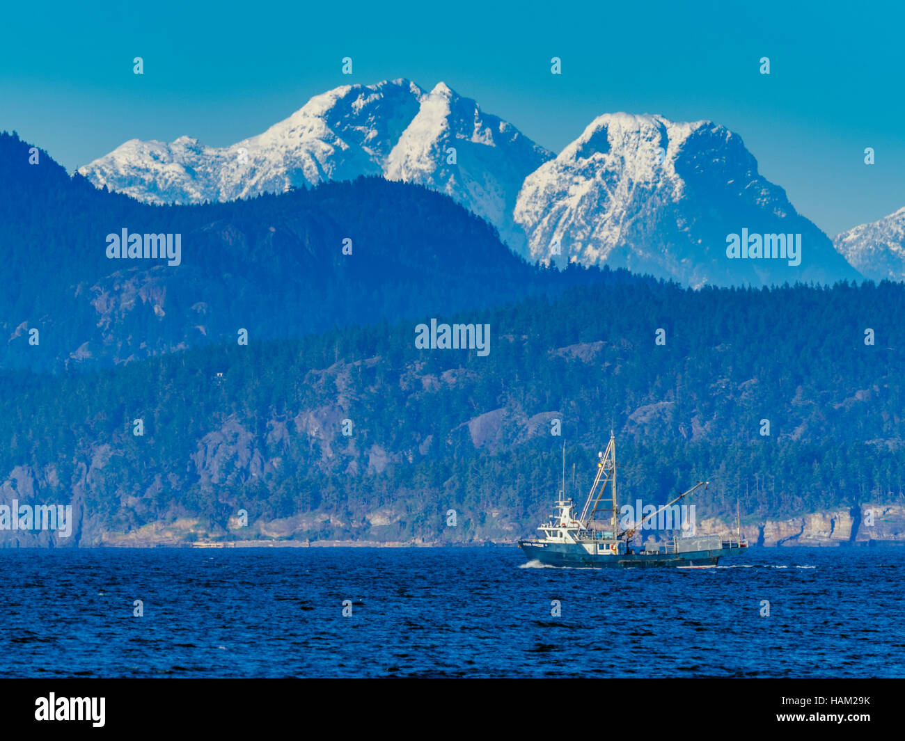 Commerciale di pesca fuori dall'Isola di Vancouver Foto Stock