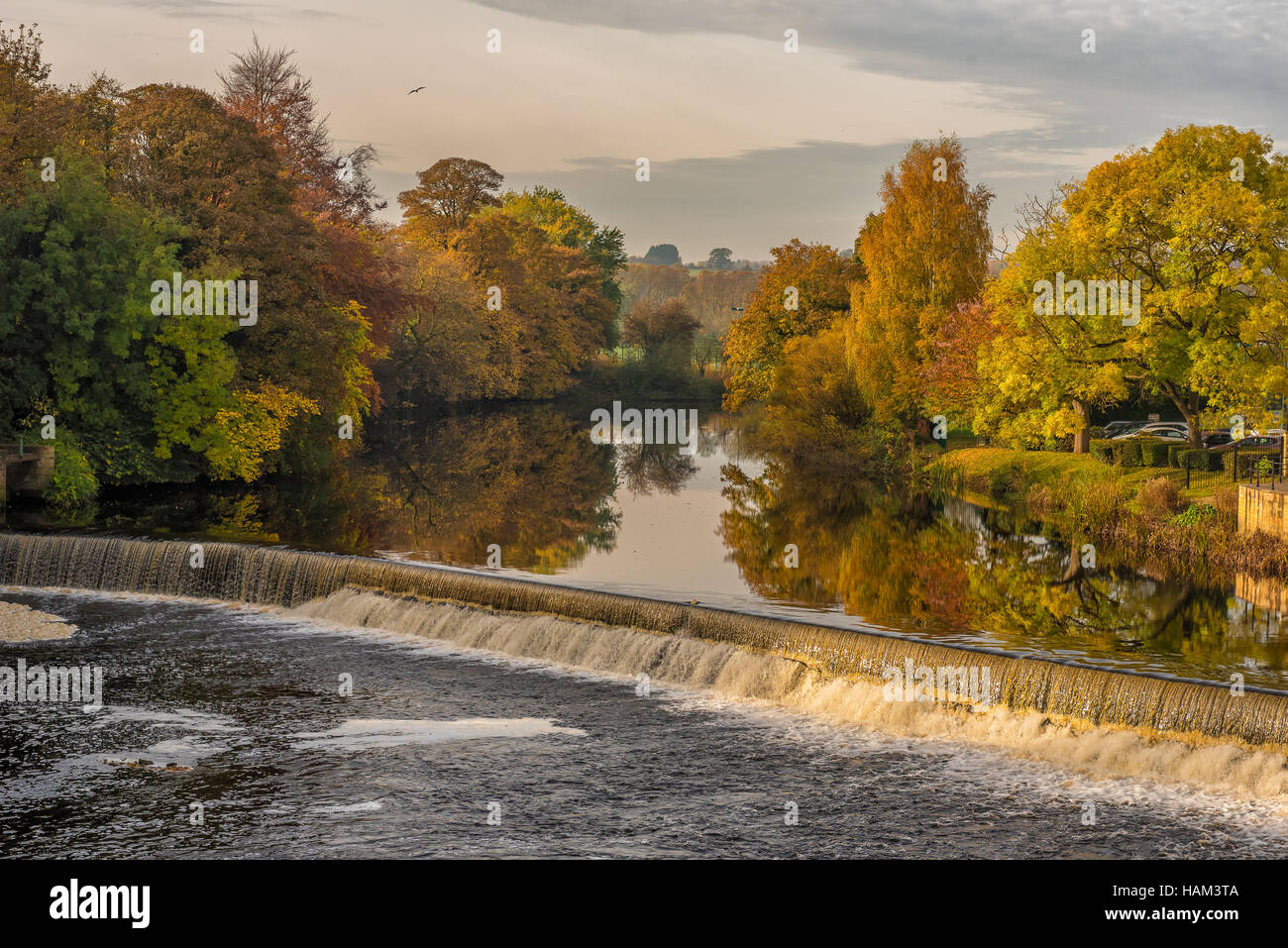 L'autunno. Il fiume Wharfe a Wetherby. Foto Stock