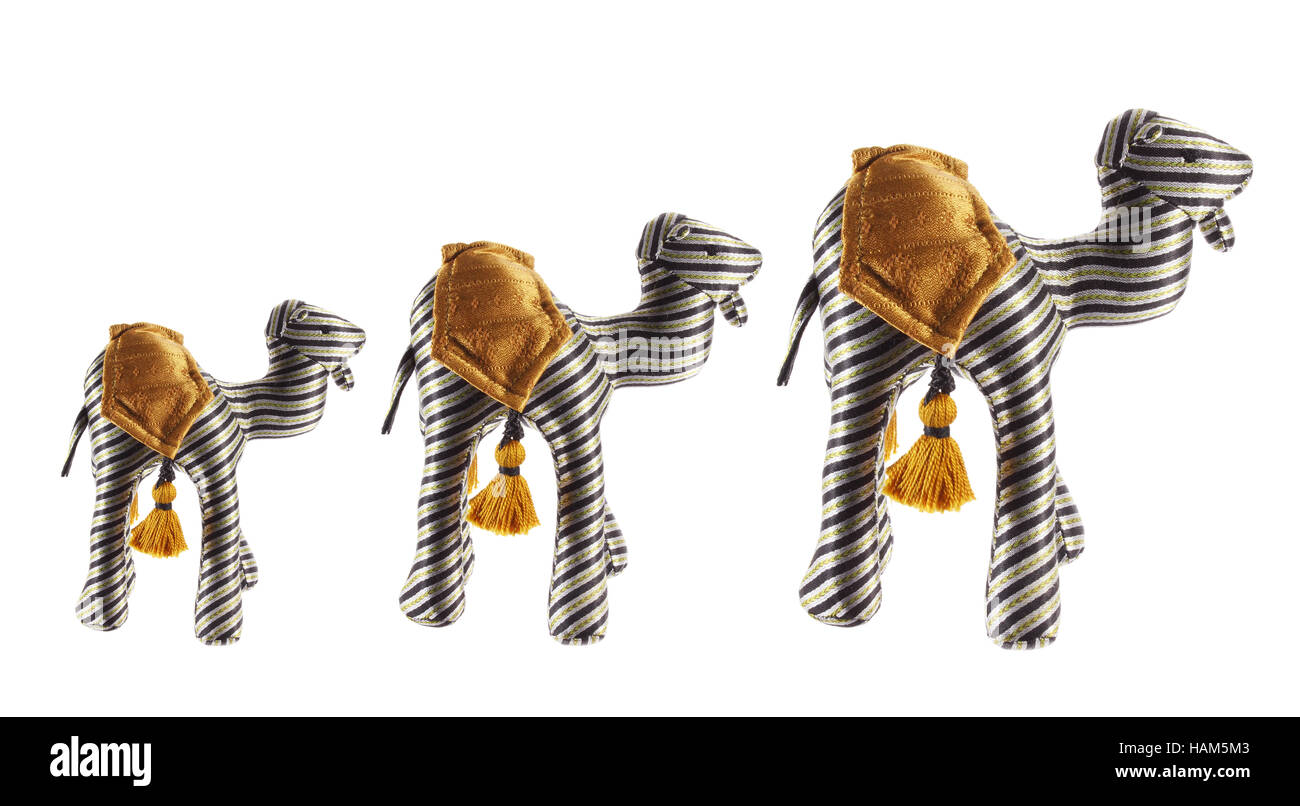 Cammelli di peluche Foto Stock