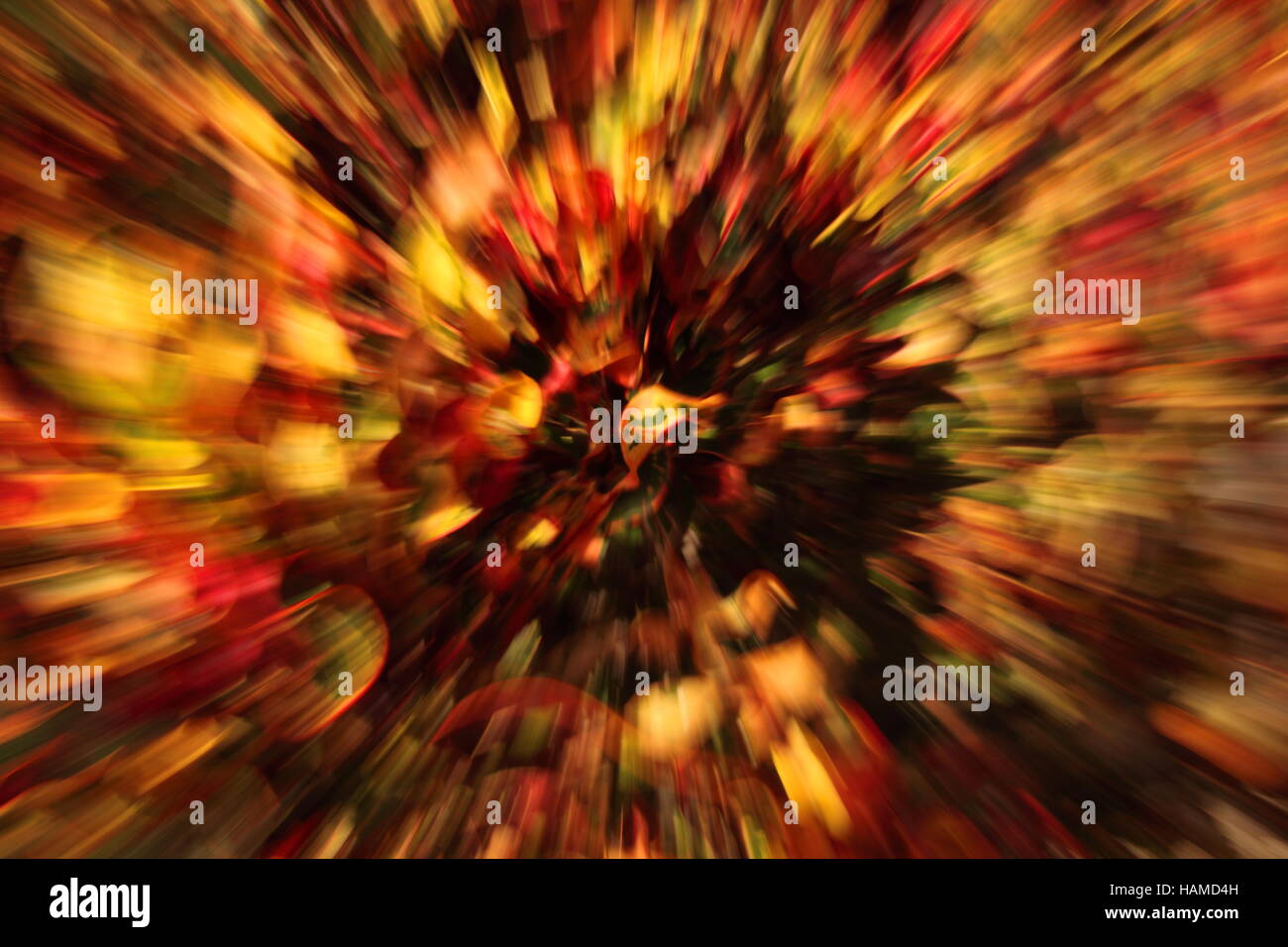 Fiore astratto burst a stella Foto Stock