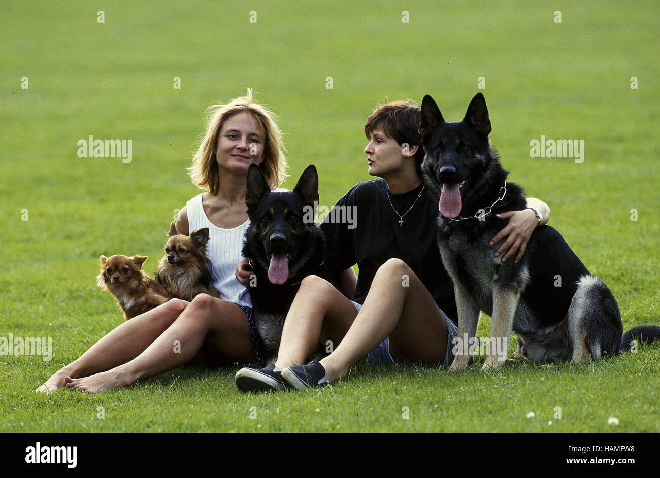 La donna e i cani / Frauen und Hunde Foto Stock