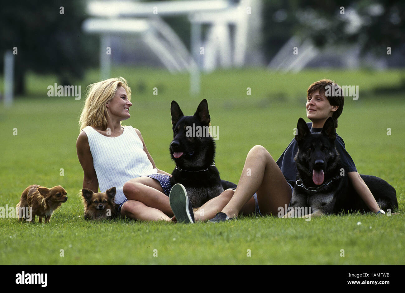 La donna e i cani / Frauen und Hunde Foto Stock