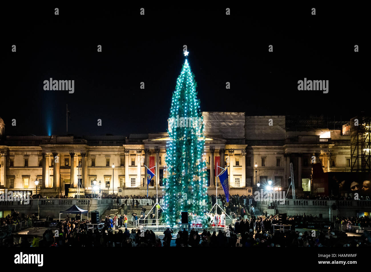 Londra, Regno Unito. Il 1 dicembre del 2016. Annuale e tradizionale accensione di Trafalgar Square albero di Natale Credit: Guy Corbishley/Alamy Live News Foto Stock