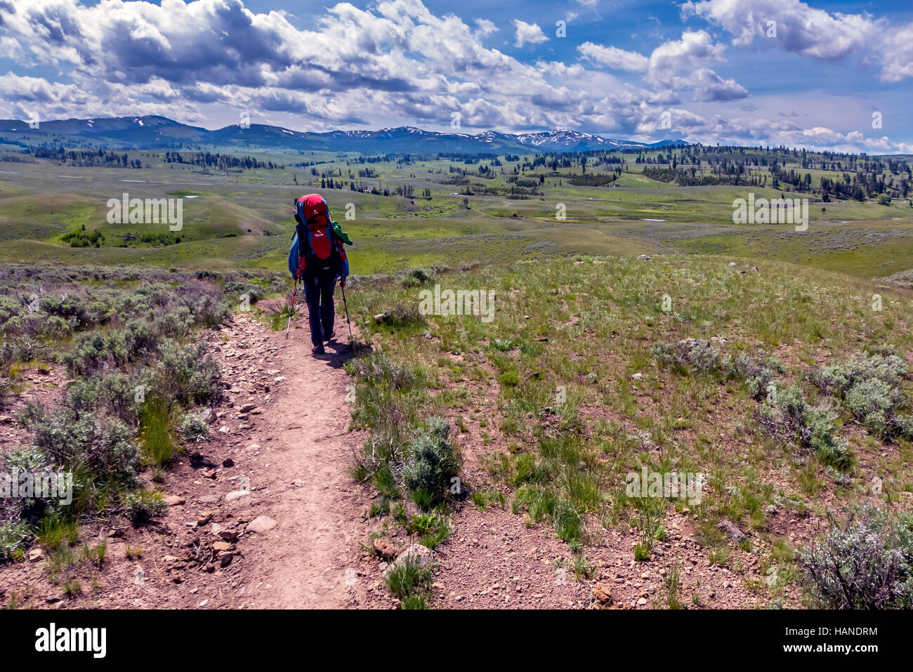 Gli escursionisti in cammino attraverso il deserto sul Hellroaring Creek Sentiero Natura nel Parco Nazionale di Yellowstone in Wyoming Foto Stock