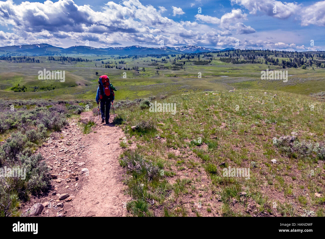 Gli escursionisti in cammino attraverso il deserto sul Hellroaring Creek Sentiero Natura nel Parco Nazionale di Yellowstone in Wyoming Foto Stock