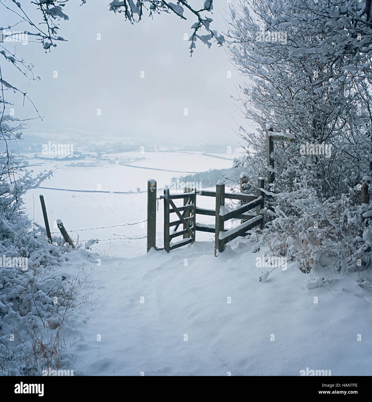 Snowy scena, Kissing Gate sulla North Downs modo Kent, Inghilterra. Foto Stock