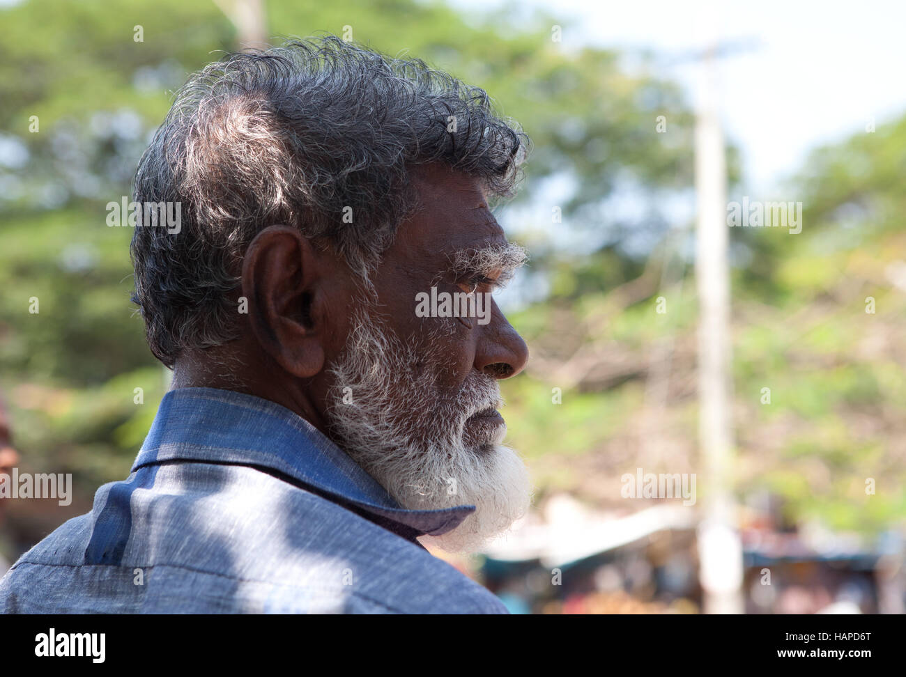 Ritratto di un uomo vecchio a Fort Kochi, Kerala, India. Foto Stock