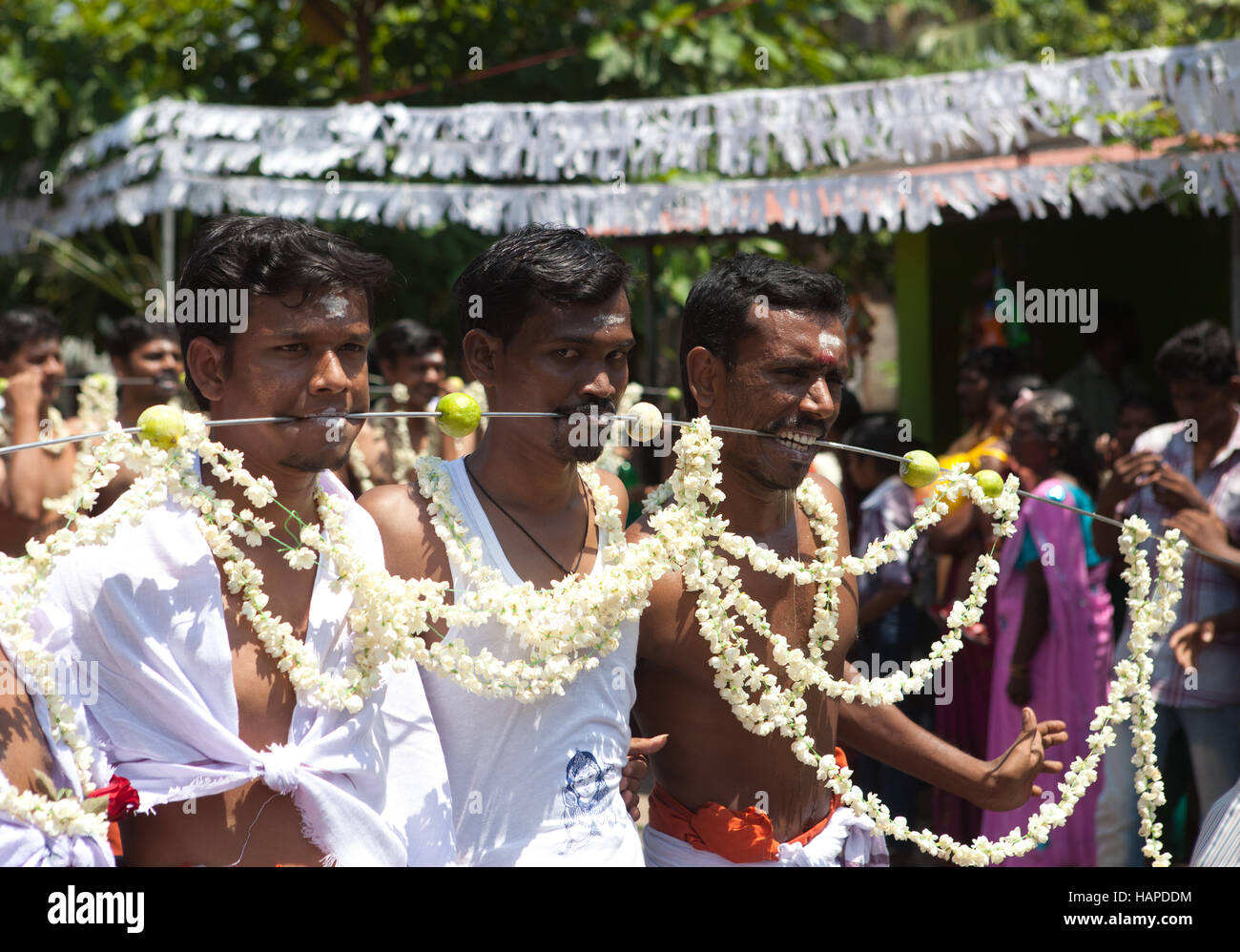 Thaipusam o Thai Poosam Kavady Festival vicino a Kochi, Kerala, India. Foto Stock