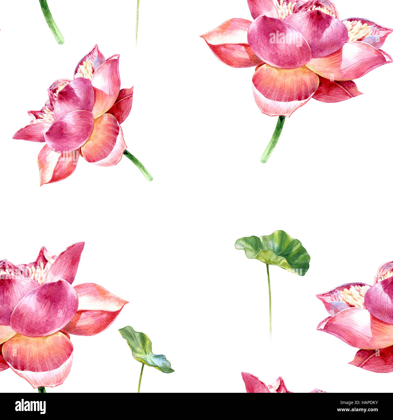 Illustrazione ad acquerello pittura di foglie e lotus , seamless pattern su sfondo bianco Foto Stock