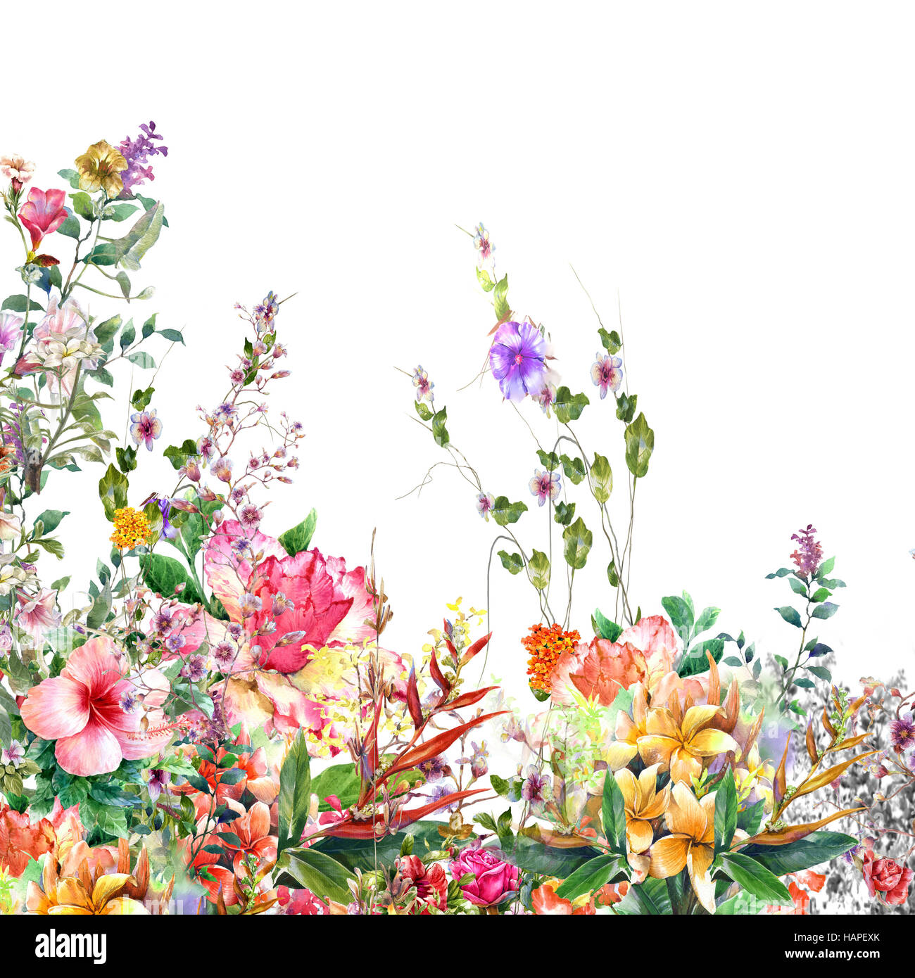 Fiori astratti pittura ad acquerello. Molla di fiori multicolore su sfondo bianco Foto Stock