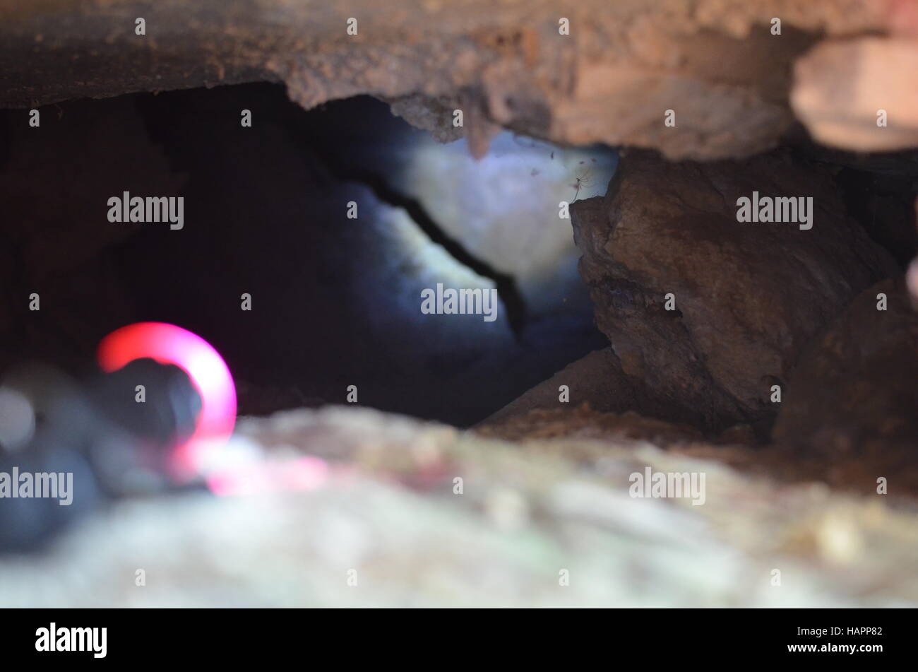 Esplorazione fotografica urbana della città Foto Stock