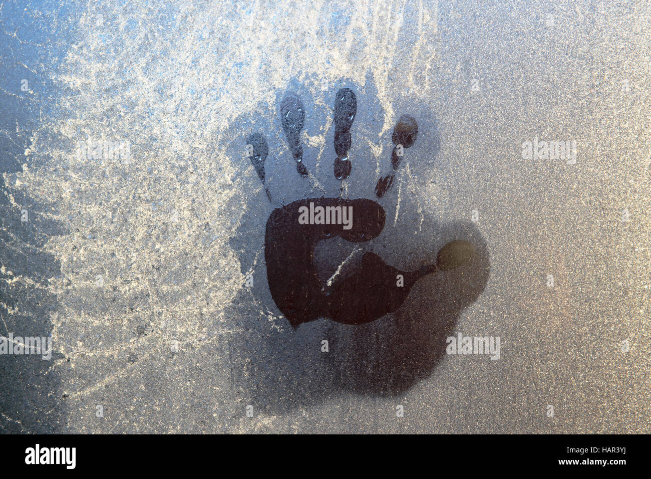 Impressione di mano fuso in trasformata per forte gradiente brina sulla finestra di serra sovrapposizioni parzialmente congelati ragnatela. Foto Stock