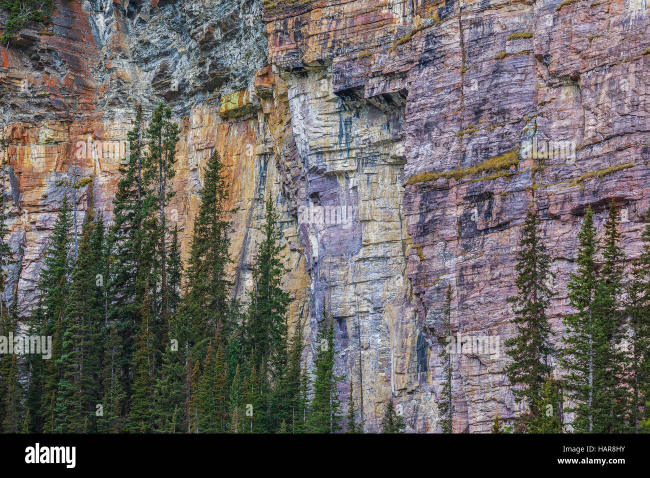 Scogliere di roccia quarzite, Lago Louise, il Parco Nazionale di Banff, Alberta, Canada. Foto Stock