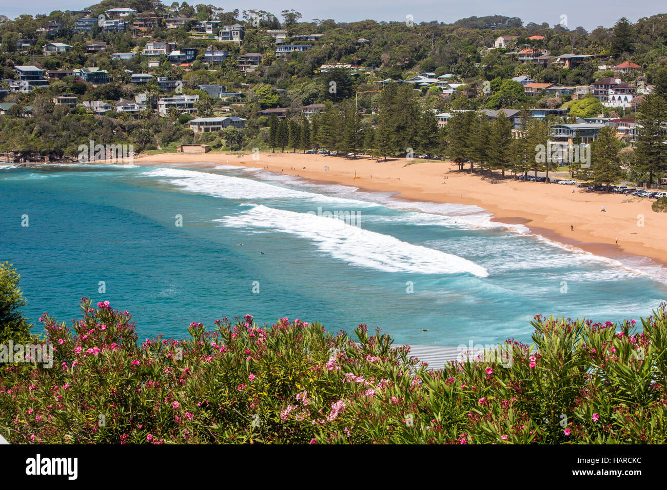Vista della spiaggia di balena, uno di Sydney la famosa Northern Beaches, Nuovo Galles del Sud, Australia Foto Stock