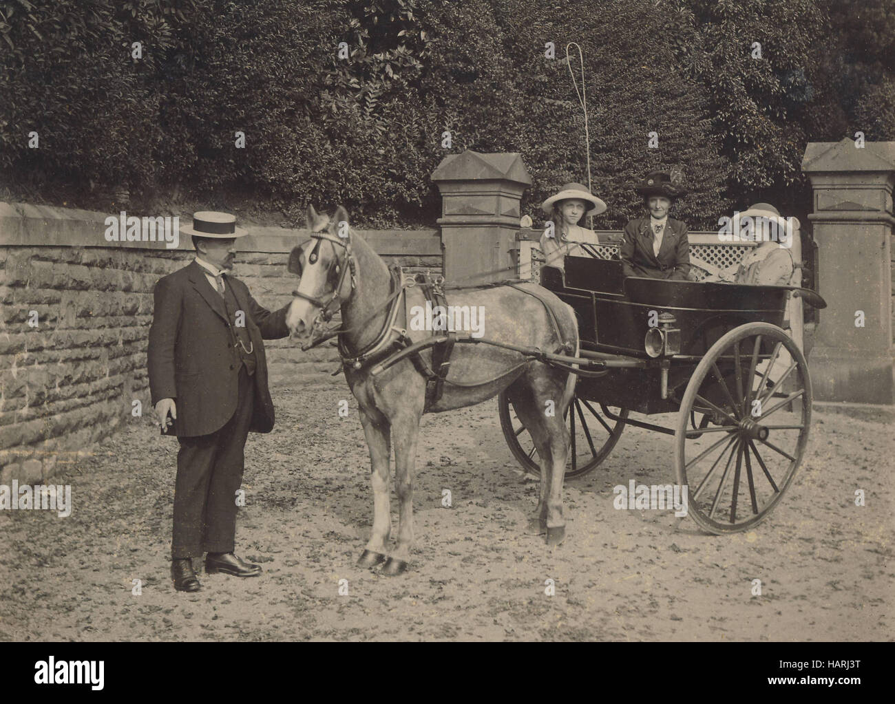 Archivio Storico di immagine del gruppo familiare con pony trap e c1900 Foto Stock