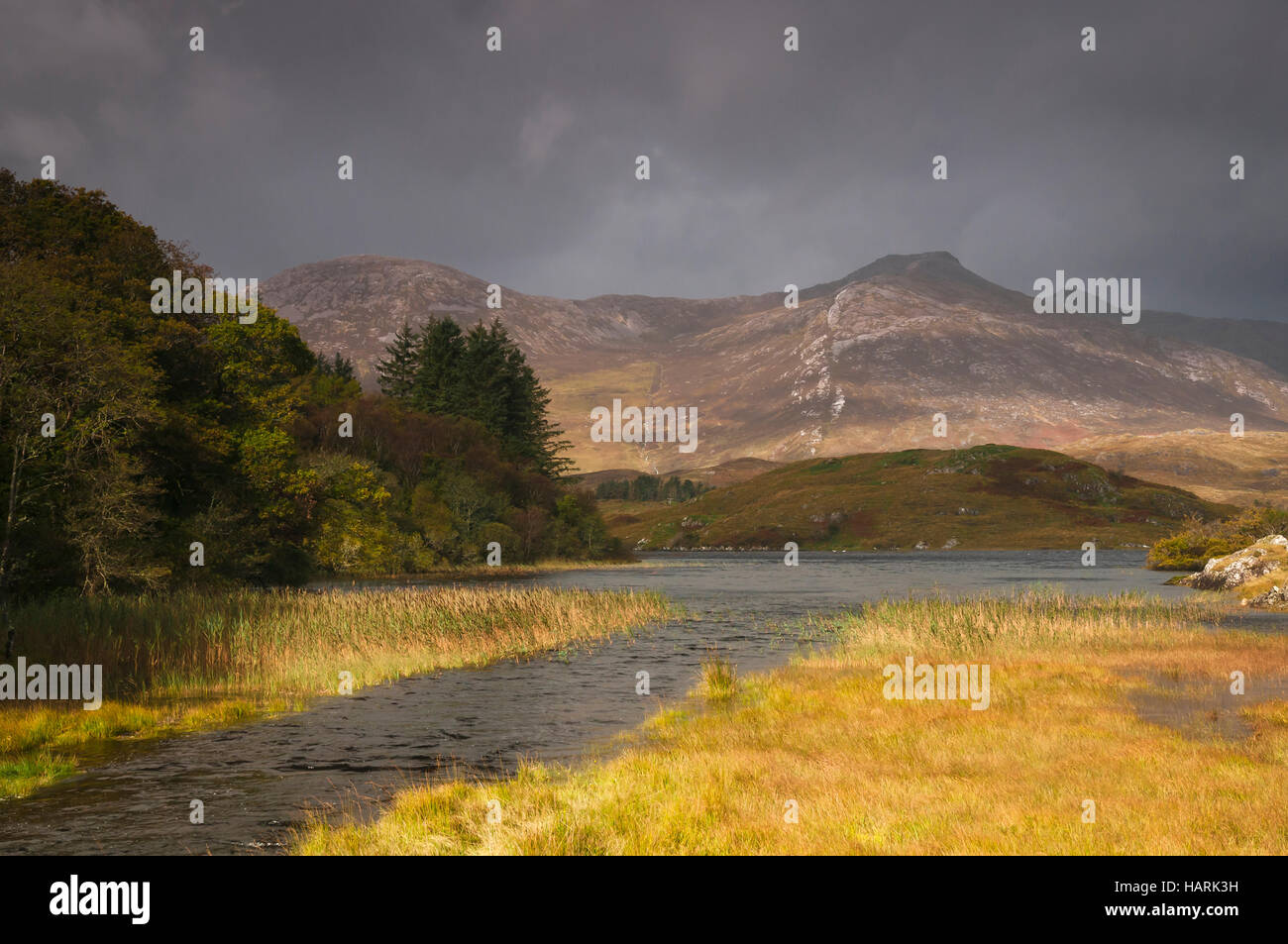 Guardando il Twelve Bens la gamma della montagna di fronte lago Ballynahinch, nella contea di Galway, Irlanda Foto Stock