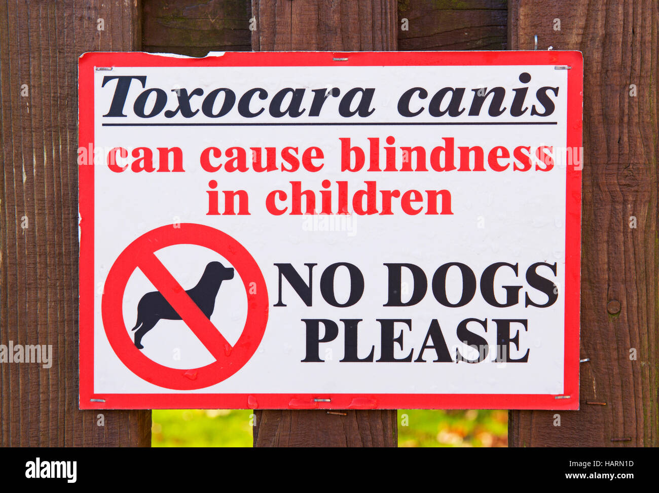 Segno sul terreno di gioco: NO CANI, Toxocara canis può causare cecità in vhildren Foto Stock