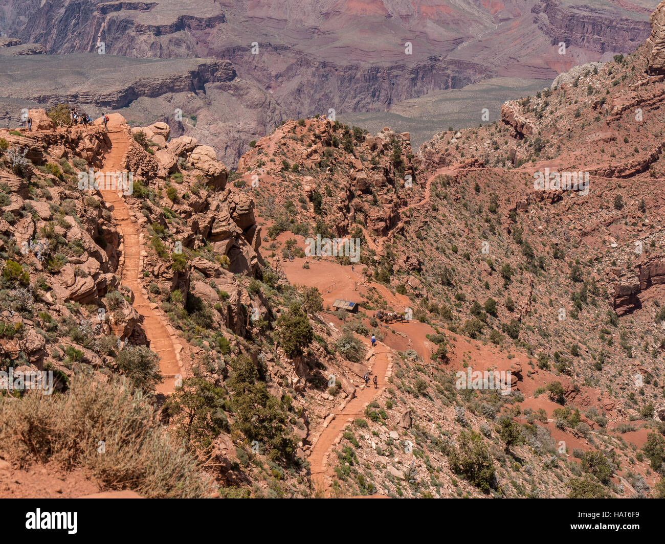 Guardando verso il basso sulla cresta di cedro, South Kaibab Trail, del Grand Canyon South Rim, Arizona. Foto Stock