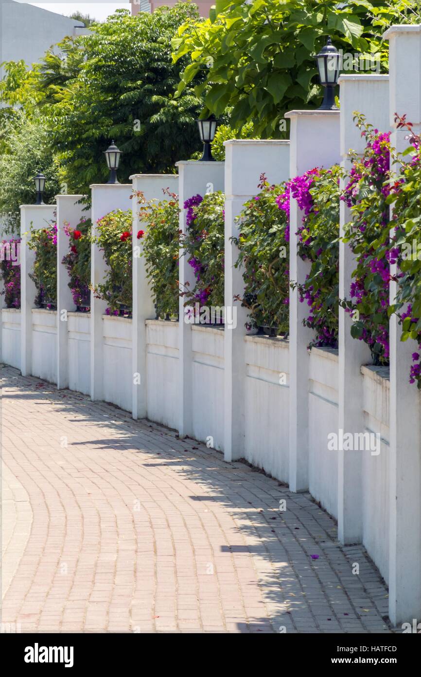 Fioritura di recinzione della città Foto Stock