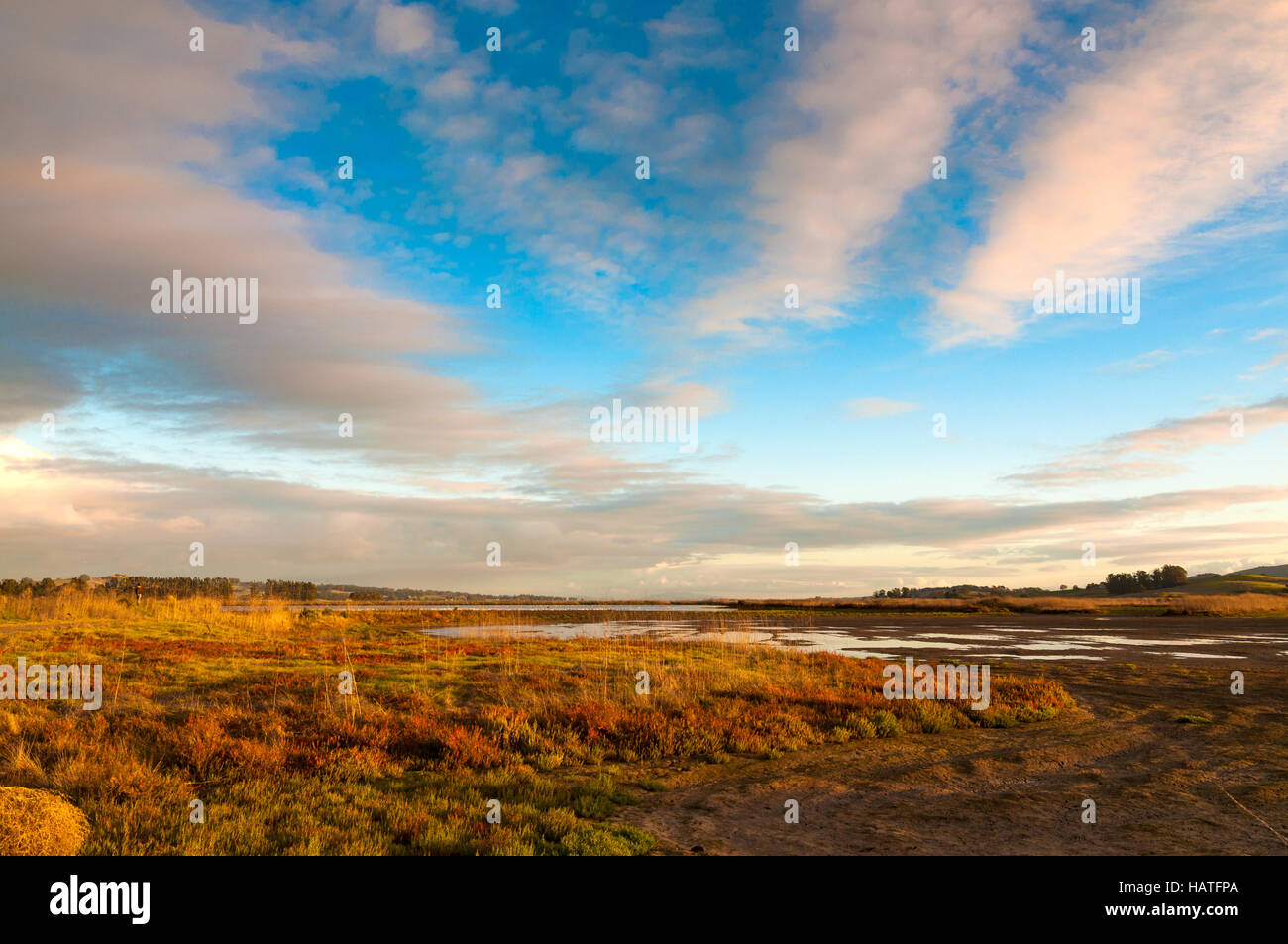 Shollenberger Park, di Petaluma California, è una popolare area ricreativa per le escursioni, birdwatching, percorso per il jogging e la bicicletta. Foto Stock