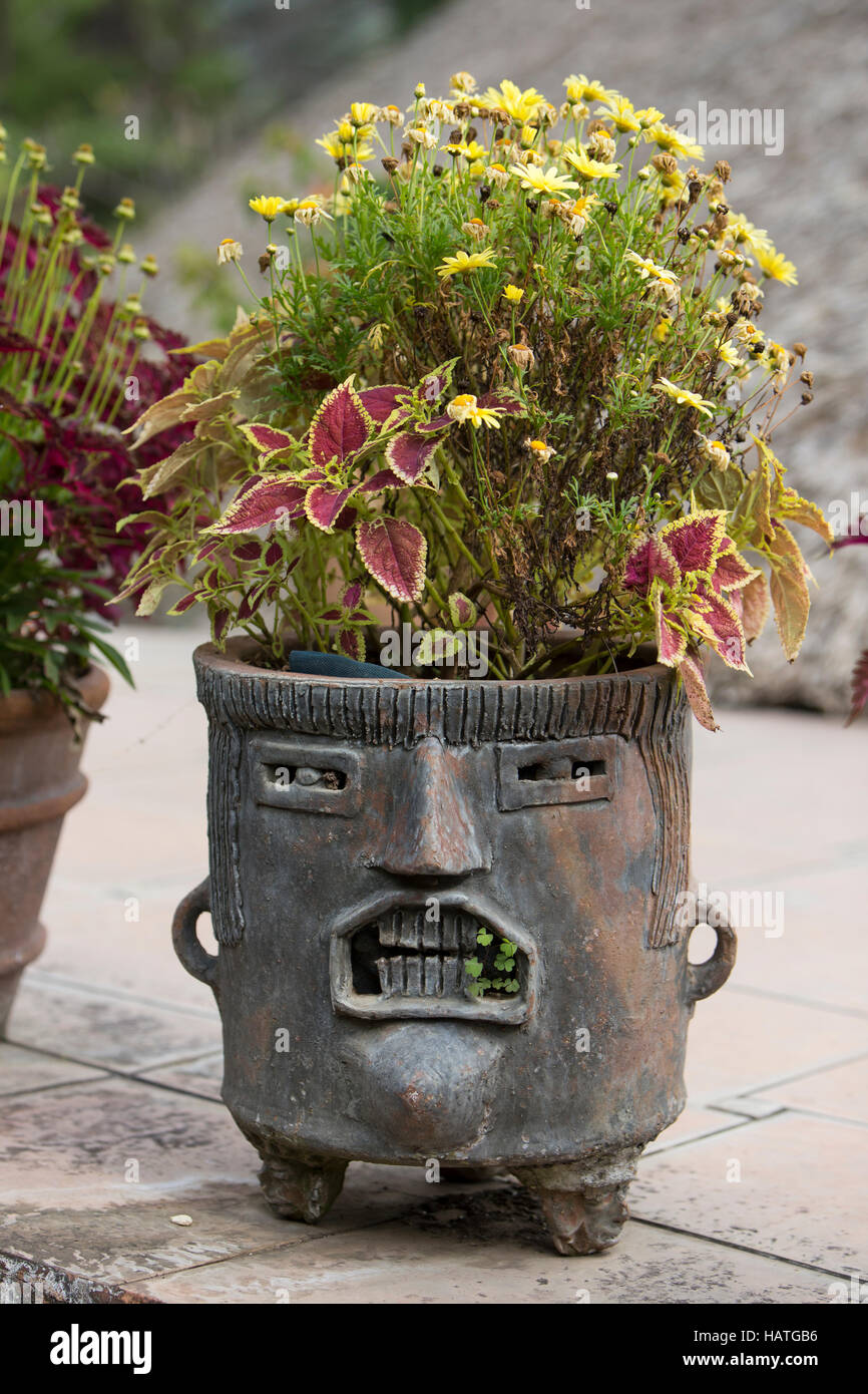 Fancy piantatrice maya con la faccia di creta o pietra Foto Stock