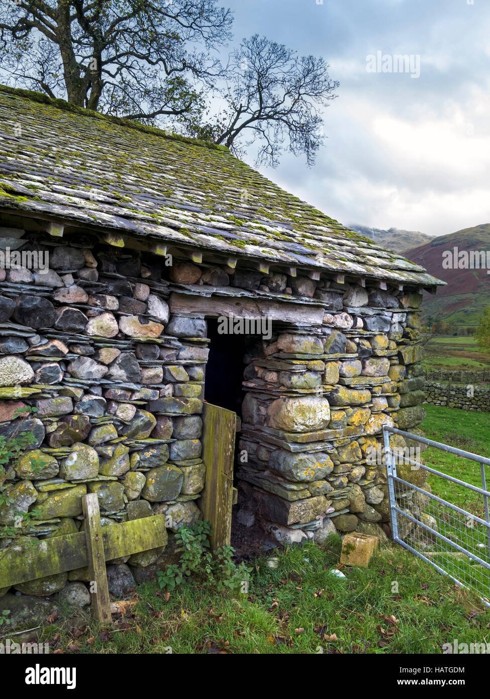 Vecchio fienile in pietra Lakeland con muretti a secco e tetto in ardesia, Great Langdale, English Lake District, Cumbria, Regno Unito. Foto Stock