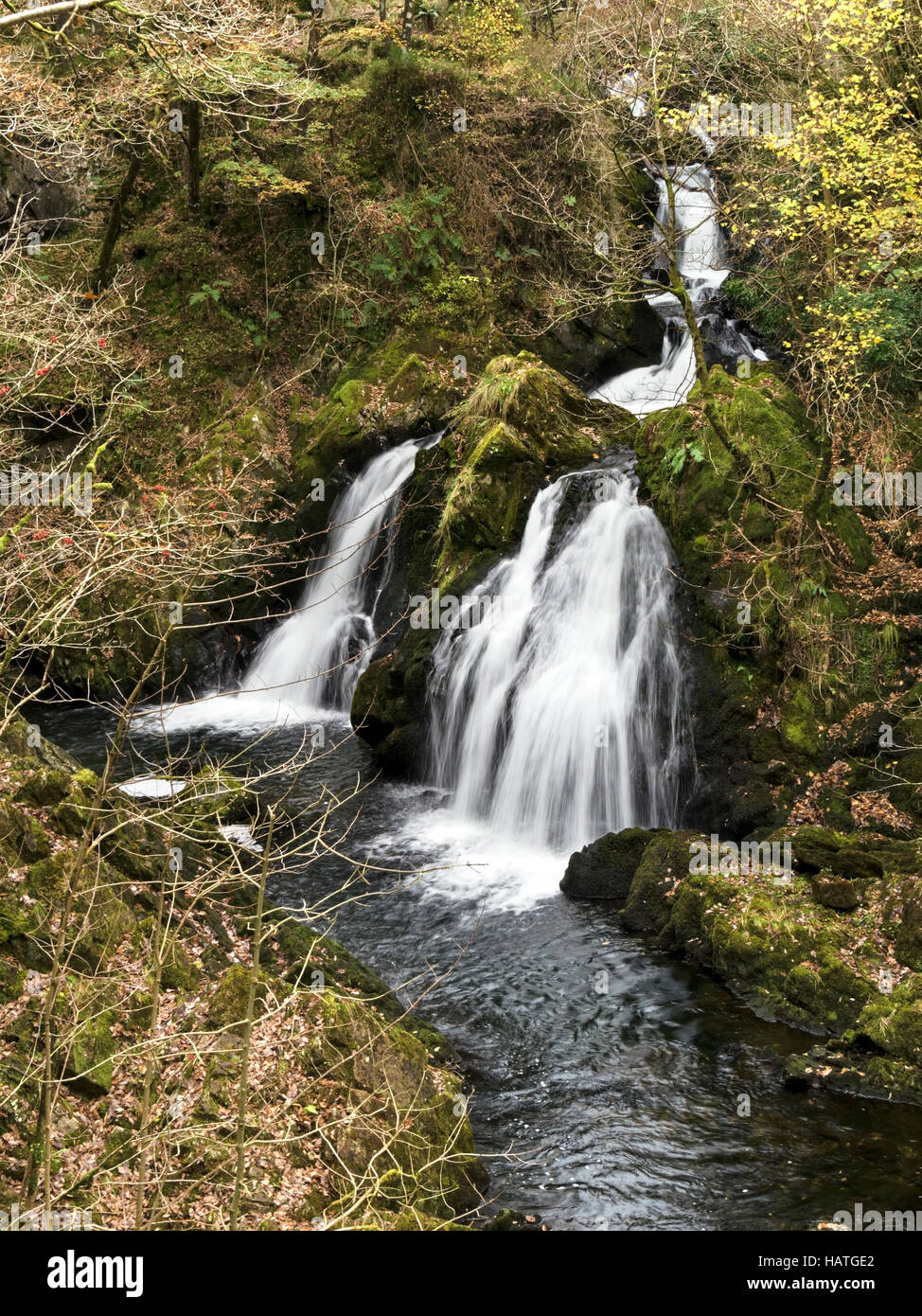 Forza Colwith cascata, poco Langdale, Lake District inglese, Cumbria, Regno Unito. Foto Stock