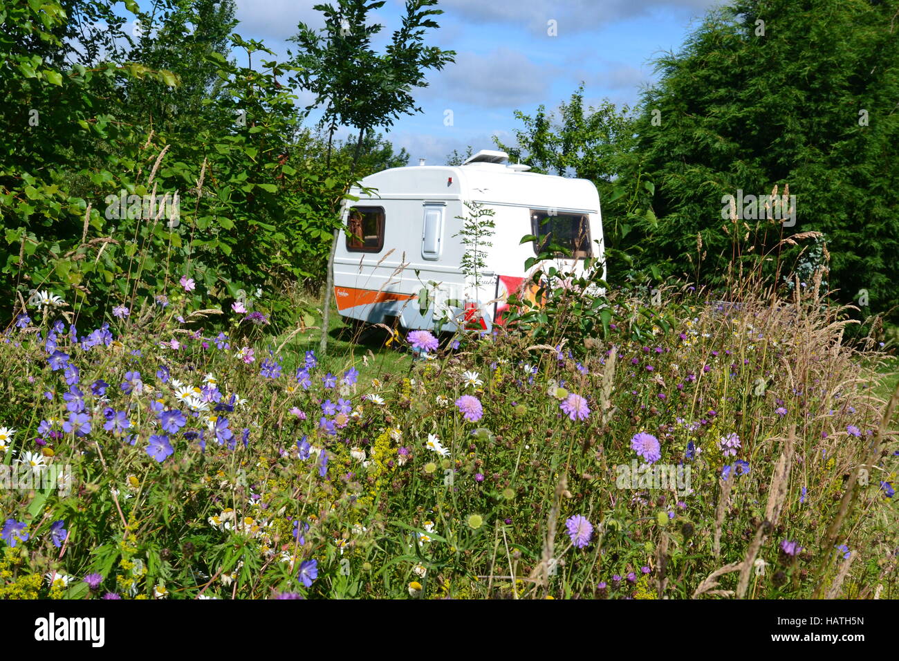 Una Caravan di libertà in un prato di fiori selvatici nel Lincolnshire, Regno Unito Foto Stock