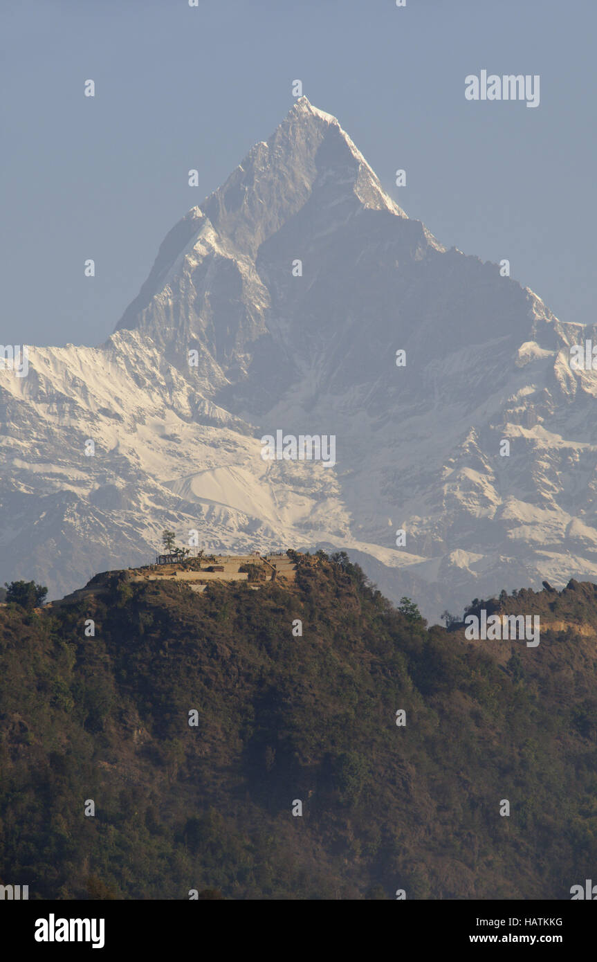 Machhapuchhre,Himalaya,Nepal Foto Stock