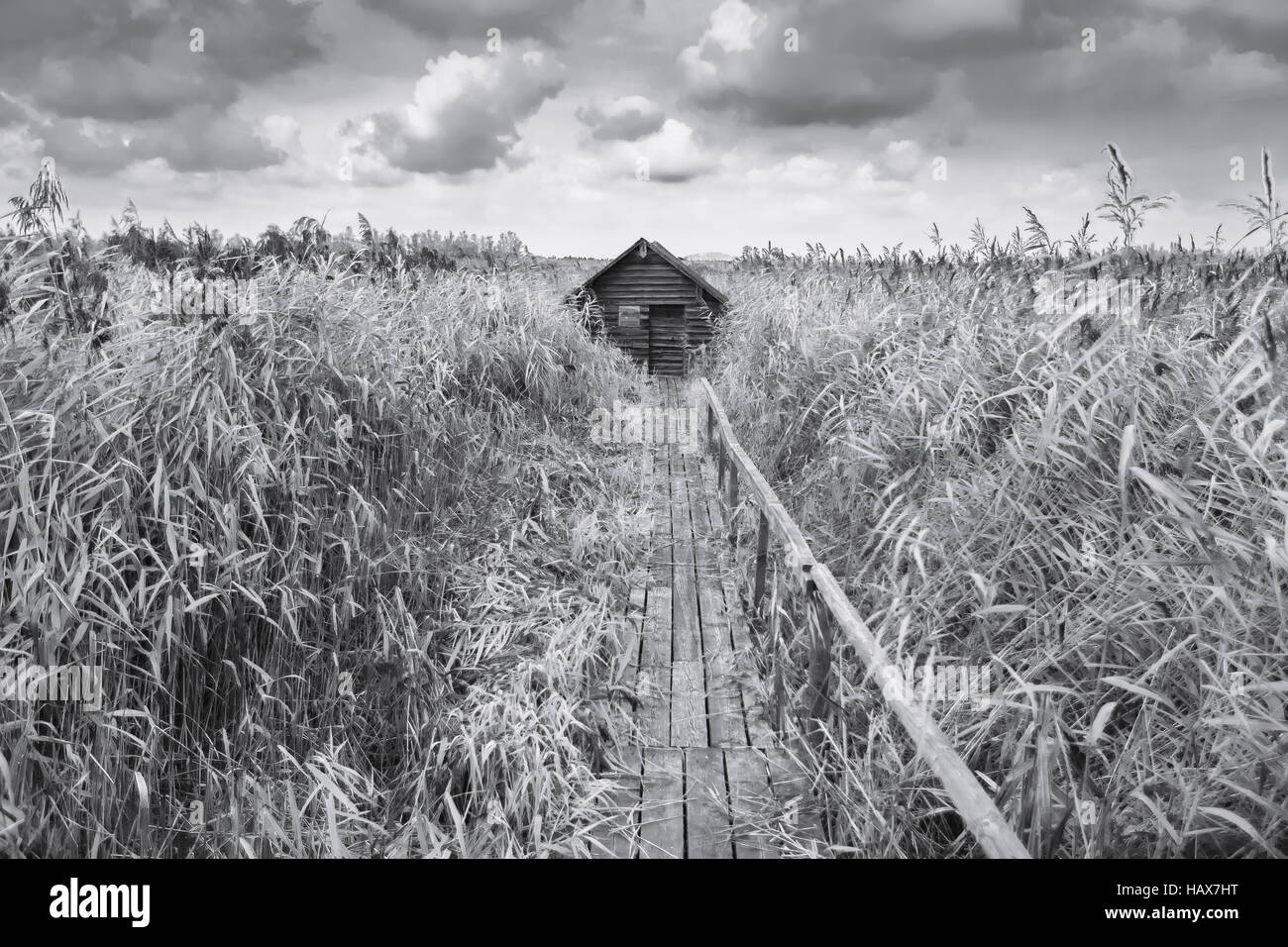 Bad Buchau, Germania. Foto Stock