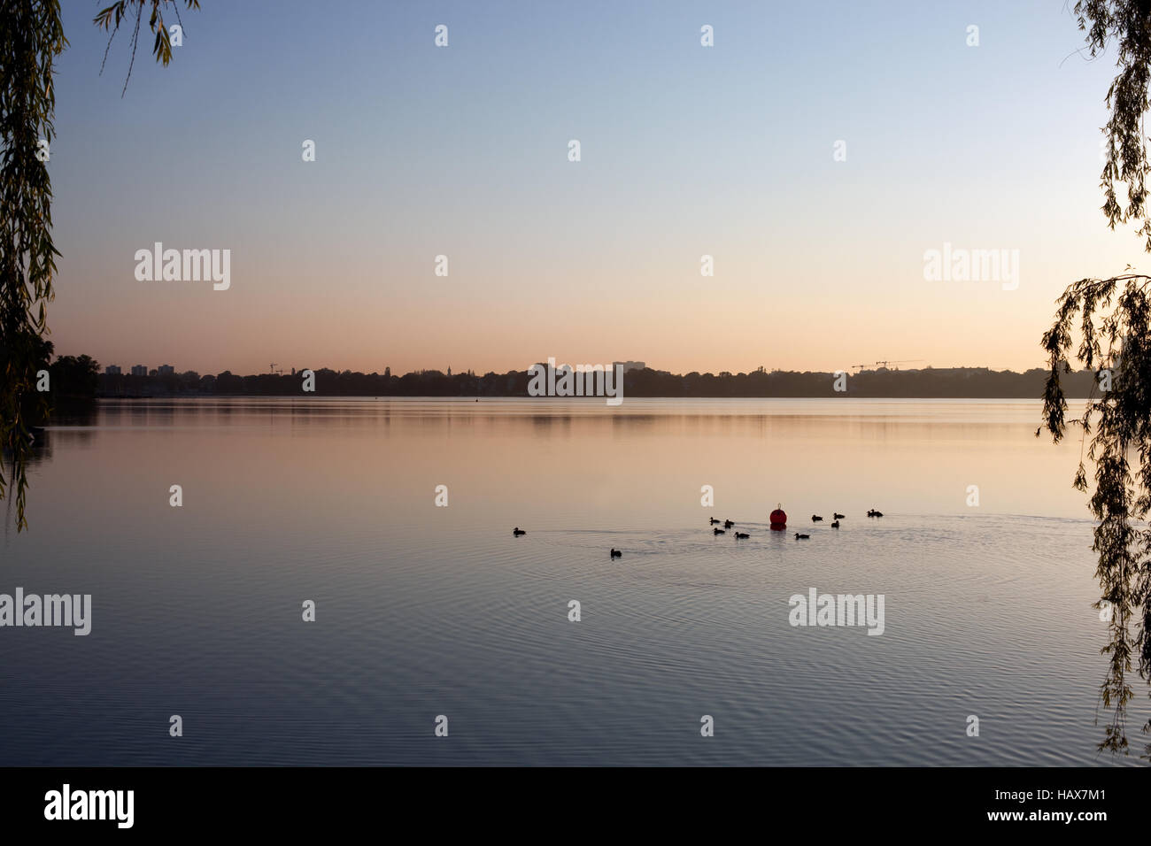 Esterno il lago Alster Amburgo Foto Stock