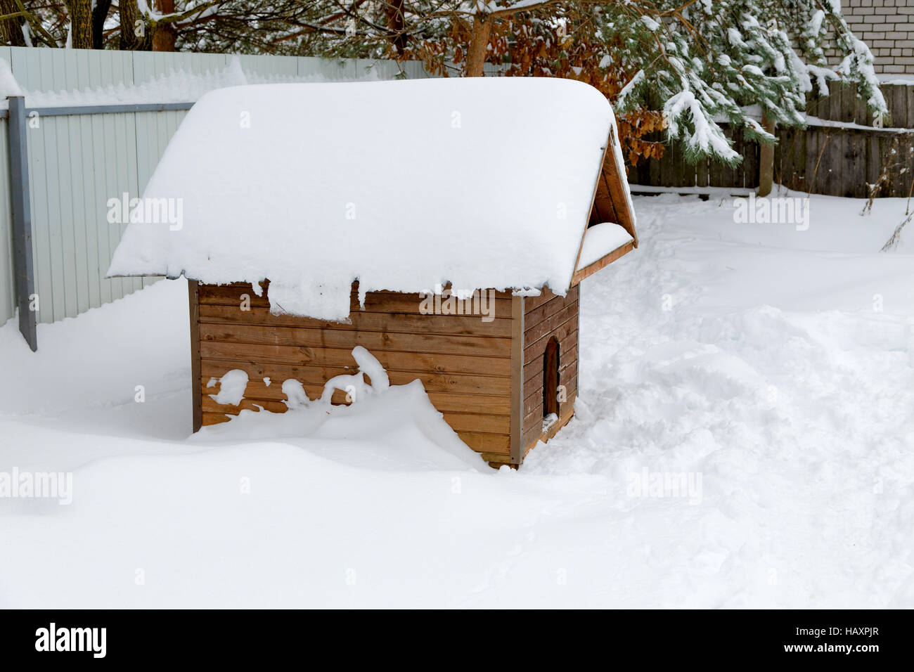 Doghouse inverno tra i cumuli di neve Foto Stock