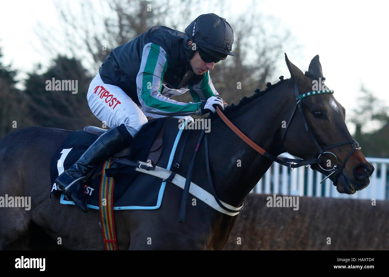 Altior cavalcato da Noel Fehily si allontana dall'ultimo recinto prima di andare a vincere il Racing Post Henry VIII novizi' Steeple Chase gara corsa durante il giorno due di Tingle Creek Festival di Natale a Sandown Park Racecourse. Stampa foto di associazione. Picture Data: Sabato 3 dicembre, 2016. Vedere la storia di PA RACING Sandown. Foto di credito dovrebbe leggere: Julian Herbert/PA FILO Foto Stock