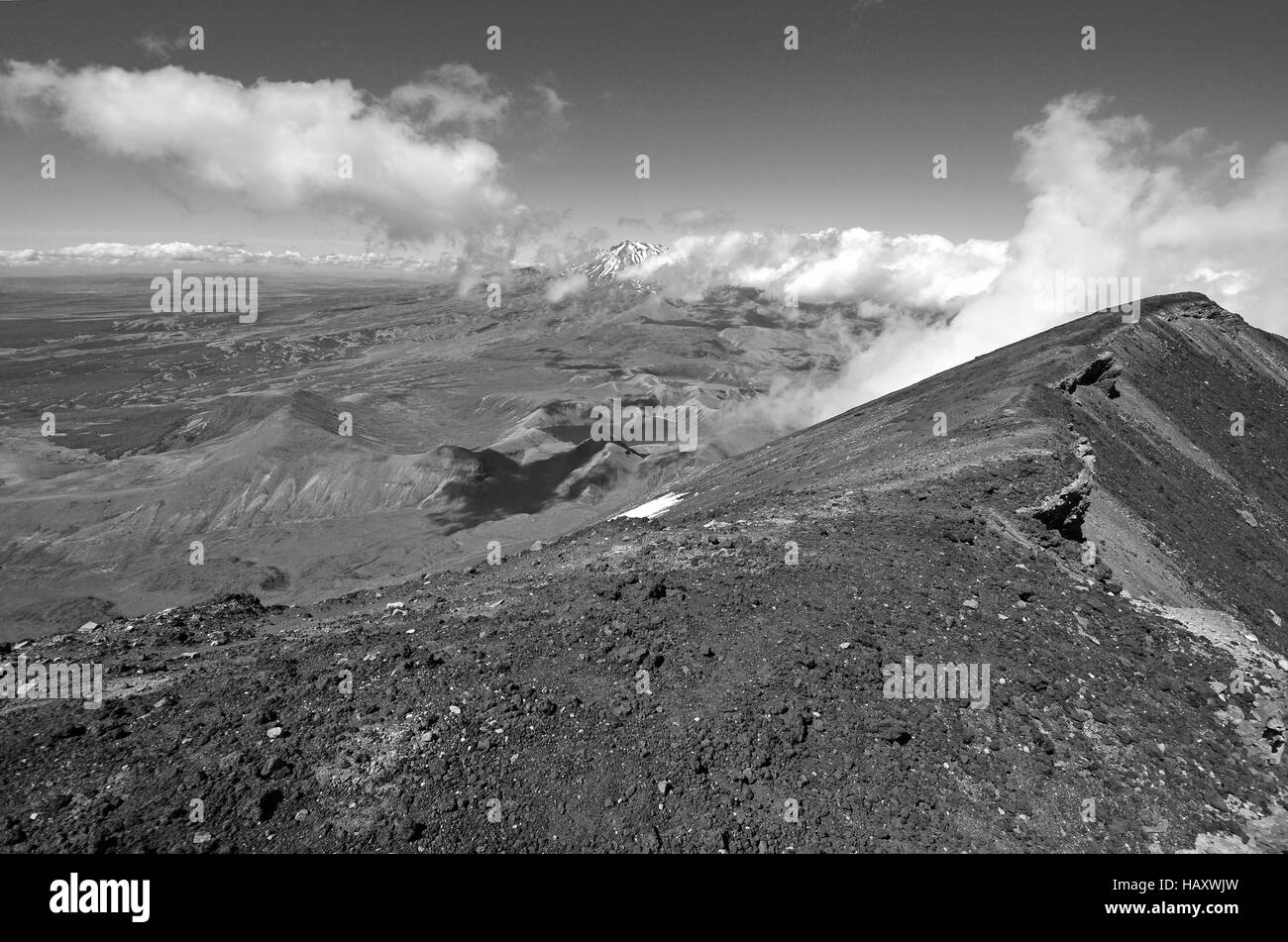 Terreno alpino intorno al parco nazionale di Tongariro, Isola del nord della Nuova Zelanda Foto Stock