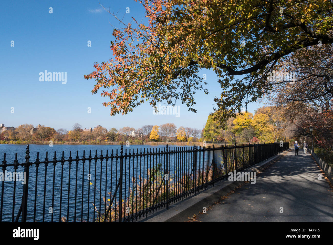 Il serbatoio via di corsa a central park in autunno, NYC Foto Stock