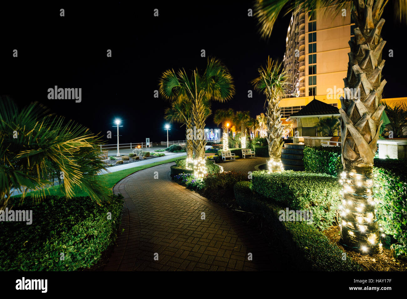 Alberi di palma e il grattacielo alberghi lungo un marciapiede di notte, in Virginia Beach, Virginia. Foto Stock