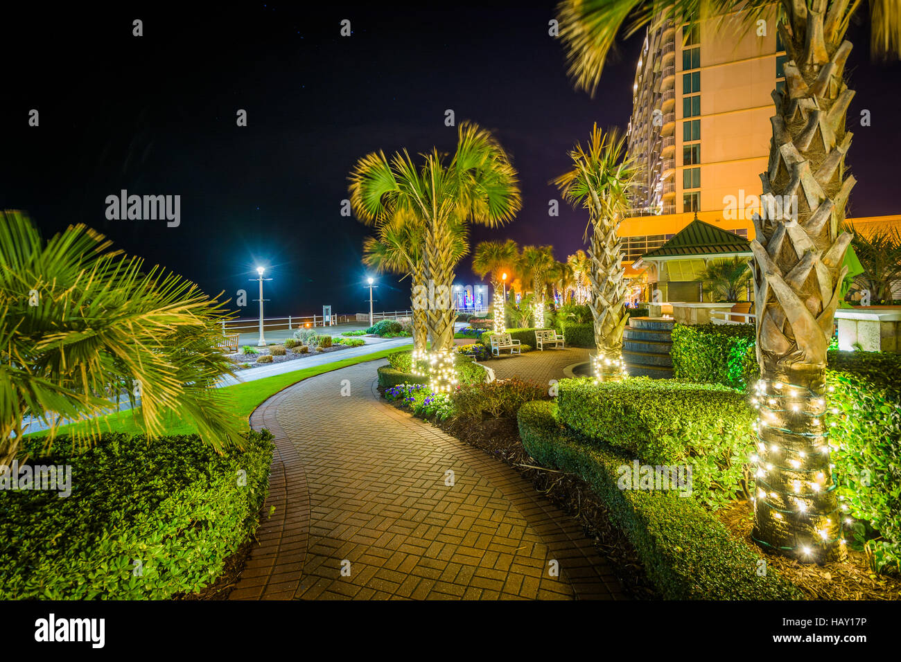 Alberi di palma e il grattacielo alberghi lungo un marciapiede di notte, in Virginia Beach, Virginia. Foto Stock