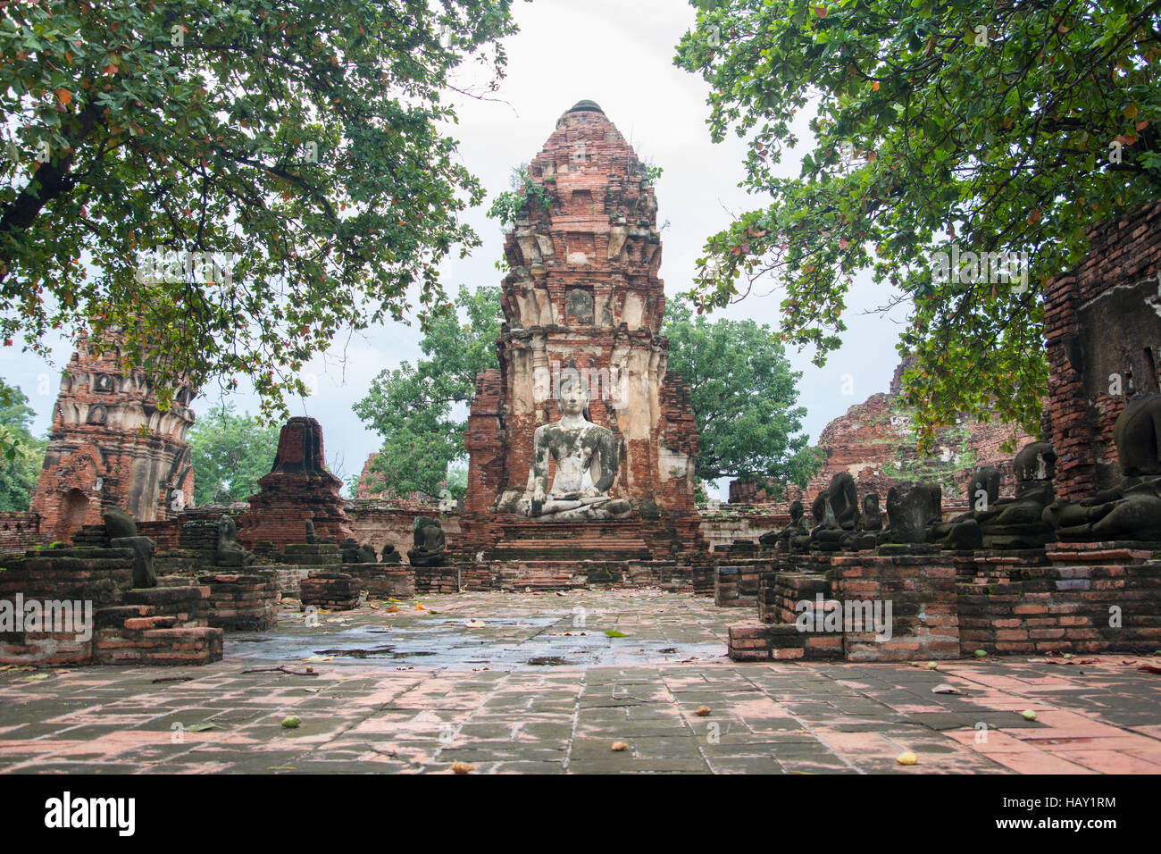 Tra le rovine di Ayutthaya antico regno della Tailandia Foto Stock
