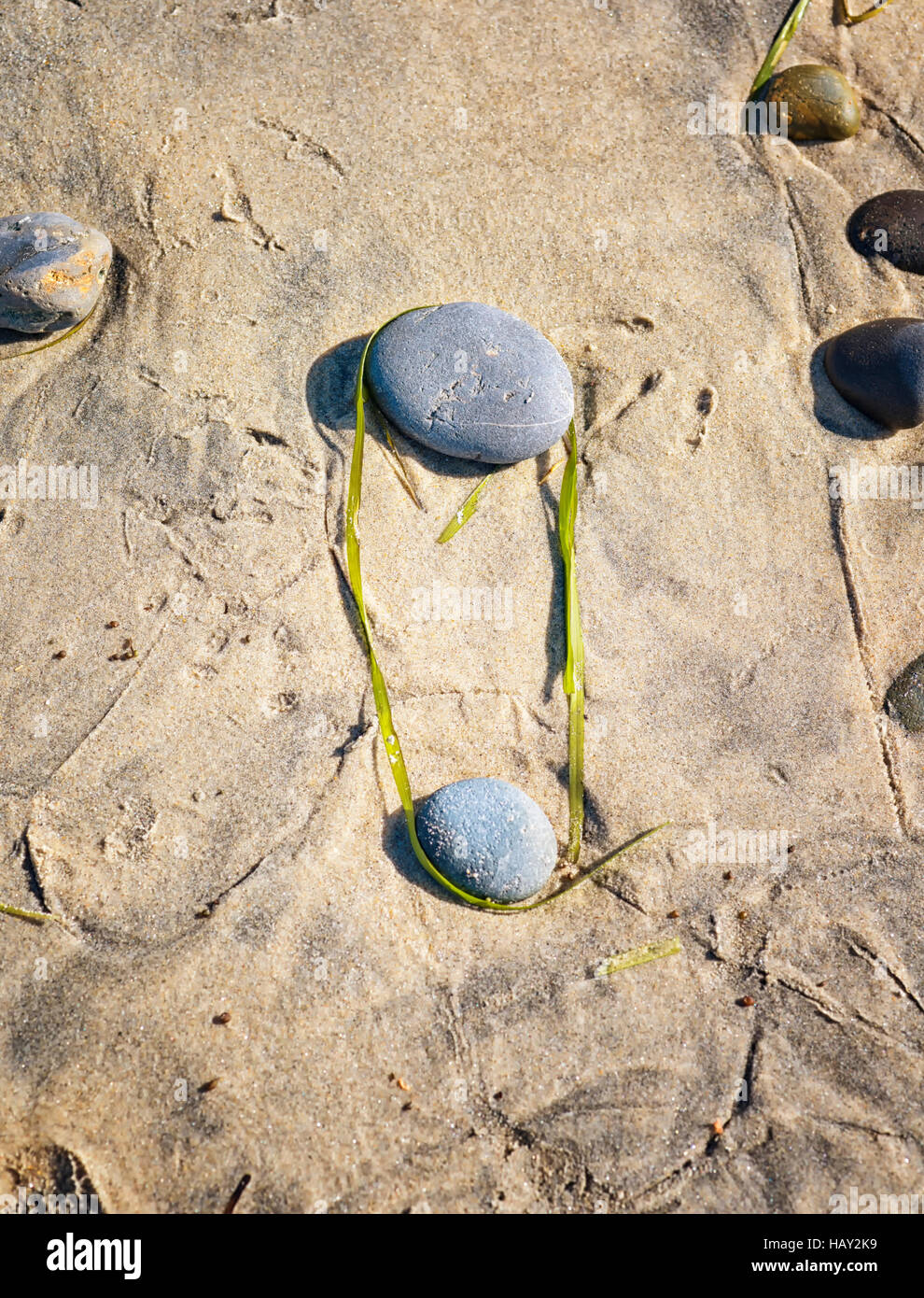 Roccia circondato da kelp sulla sabbia Foto Stock