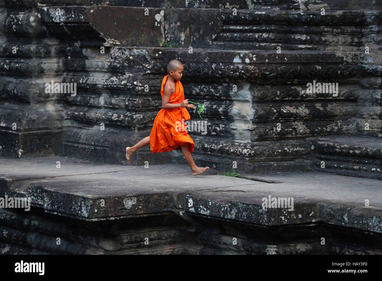 Giovane monaco buddista a Angkor Wat in Siem Reap, Cambogia Foto Stock