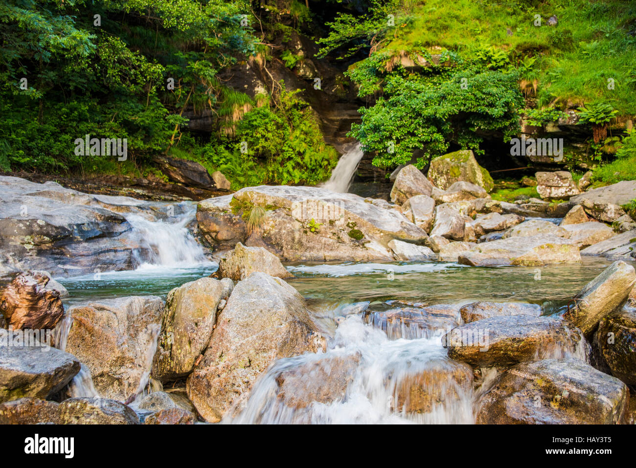 Cascata in Svizzera, immagine di rocce naturali, acqua e verde threes bellissimo paesaggio Foto Stock