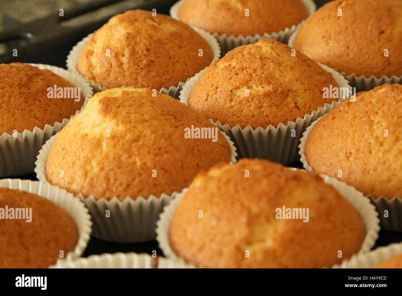 Muffin con aroma di vaniglia Foto Stock